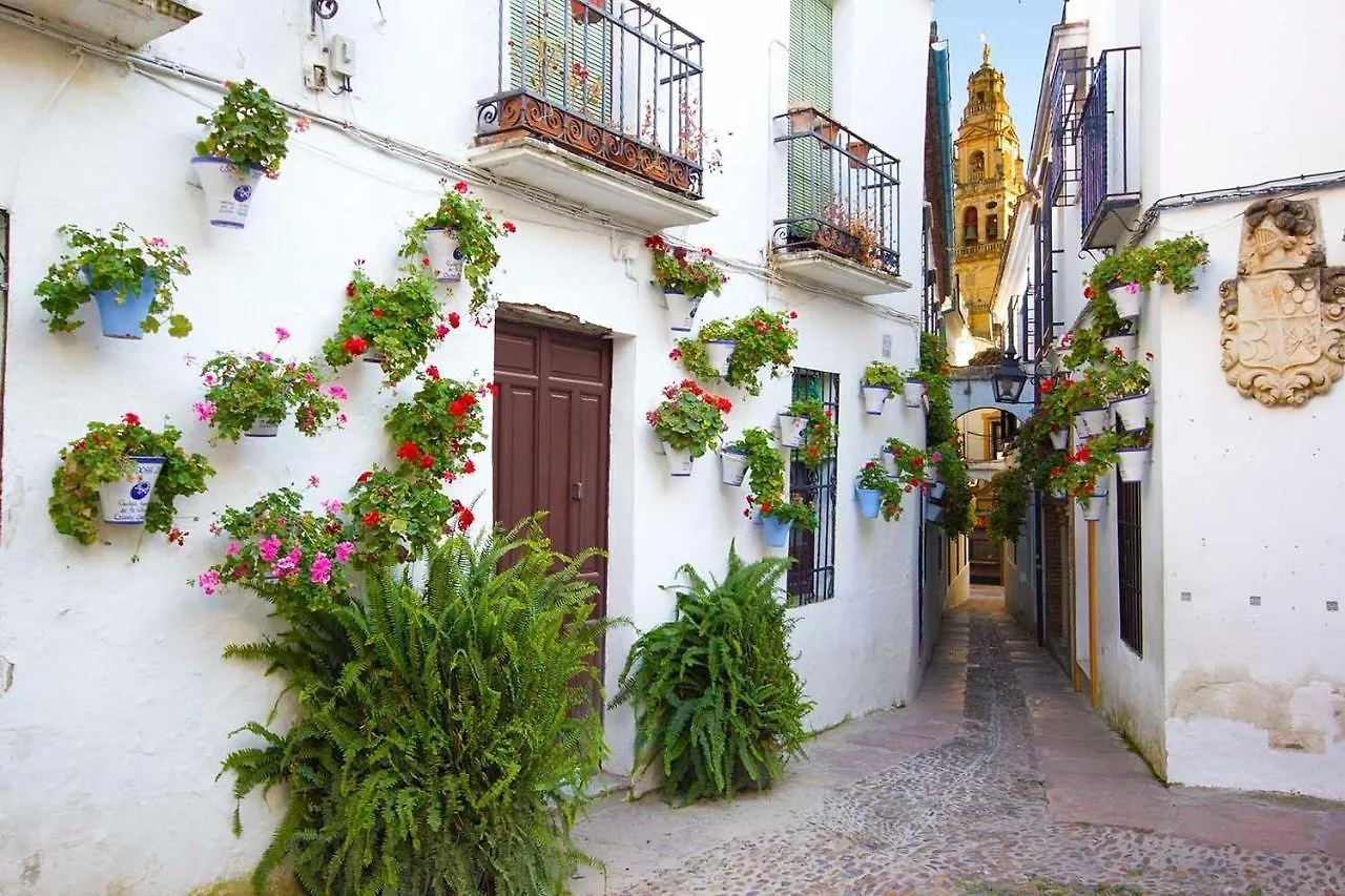 Tandem Torre De La Calahorra Apartment Cordoba